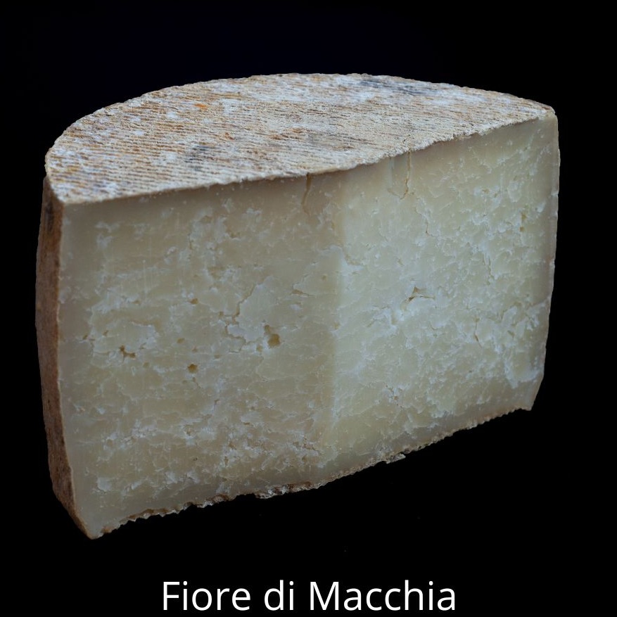Fiore di Macchia
