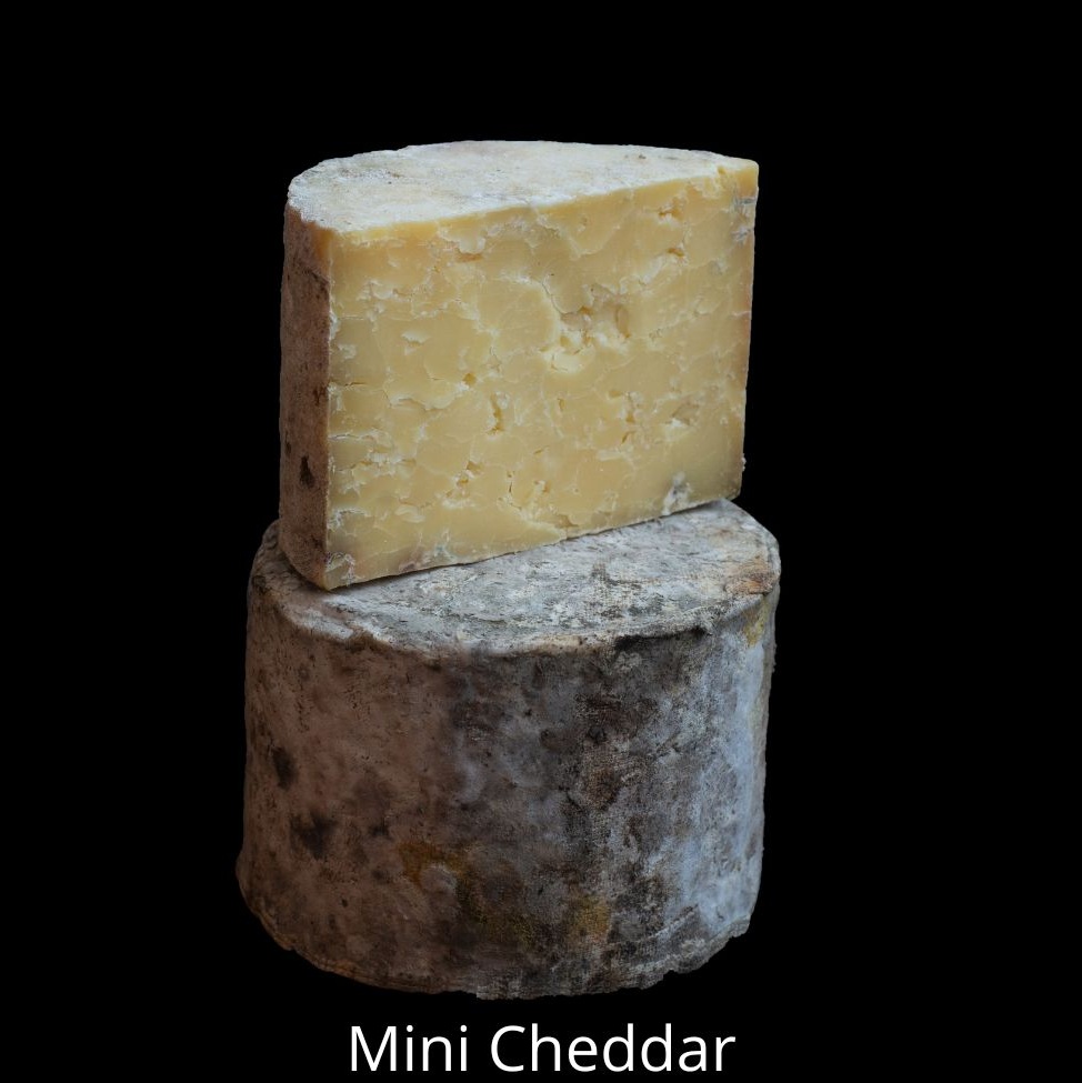 Mini Cheddar