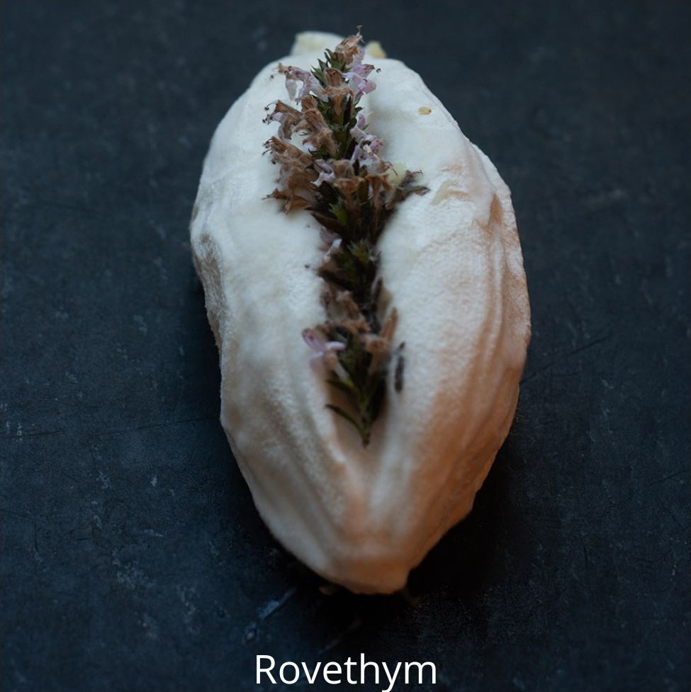 Rovethym